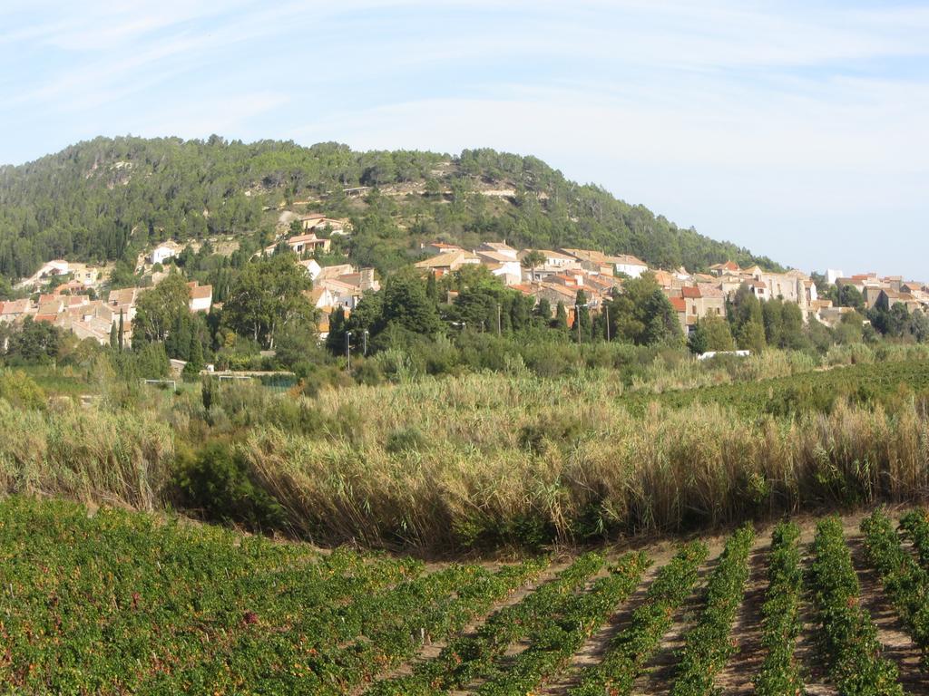 Chambre D'Hotes Le Laurier Blanc Portel-des-Corbieres エクステリア 写真